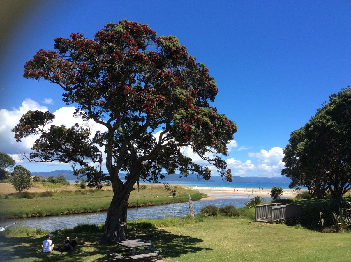 Albert Mews B And B Whitianga Exterior foto